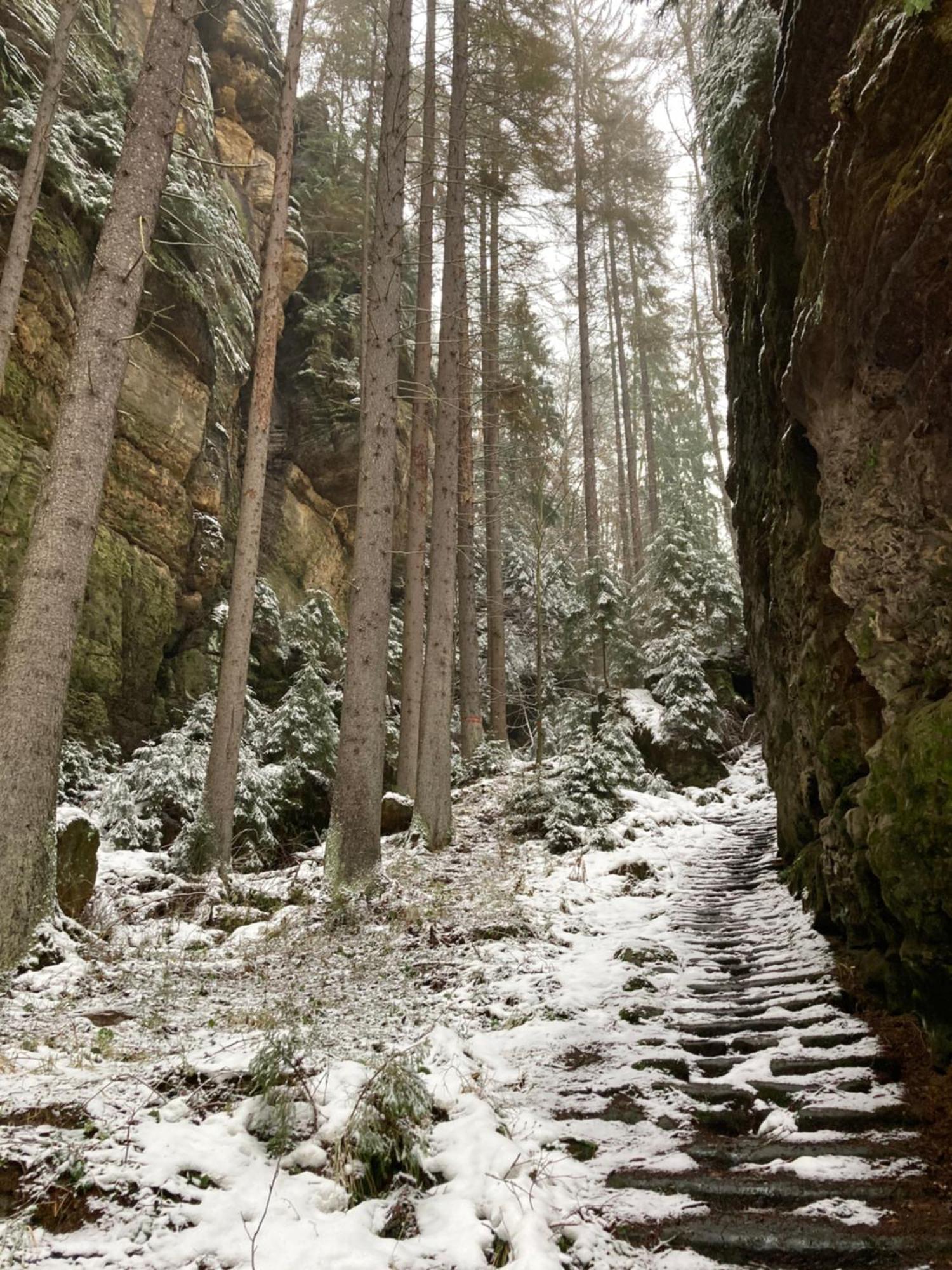 Jetřichovice Pension Hofberg מראה חיצוני תמונה