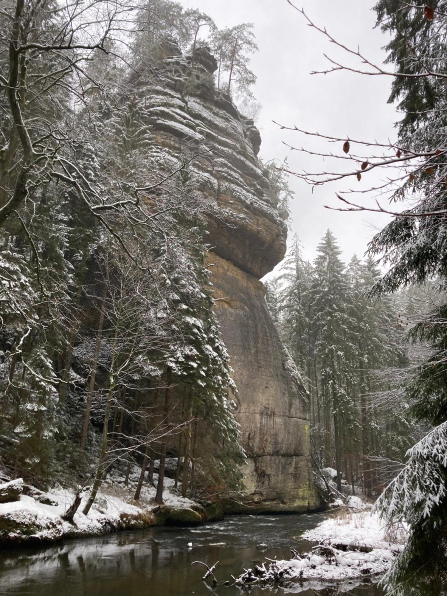 Jetřichovice Pension Hofberg מראה חיצוני תמונה